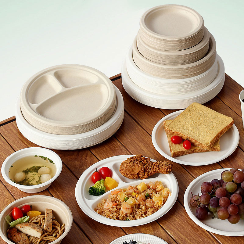 Sugarcane Bagasse Plate Solution