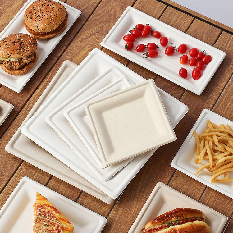 Biodegradable-Plate-for-Party-and-Events